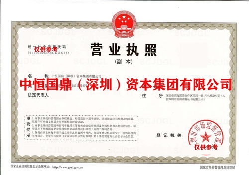 深圳集團(tuán)公司轉(zhuǎn)讓 干凈無(wú)戶，隨時(shí)可轉(zhuǎn)，專注互聯(lián)網(wǎng)銷(xiāo)售
